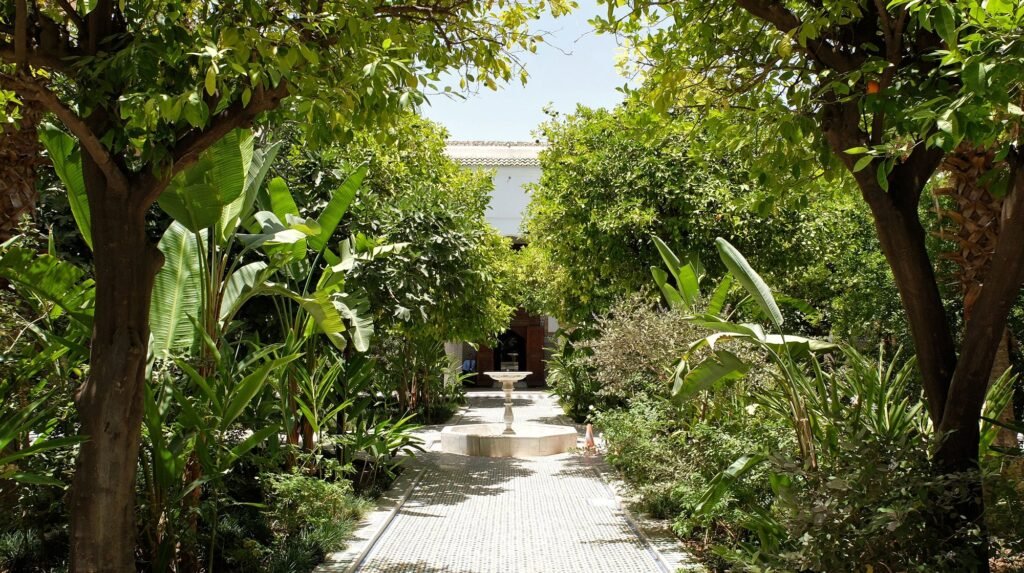 Booking a restaurant in Marrakech: timing, dress and tipping