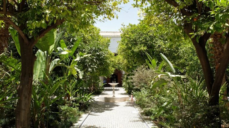 Booking a restaurant in Marrakech: timing, dress and tipping