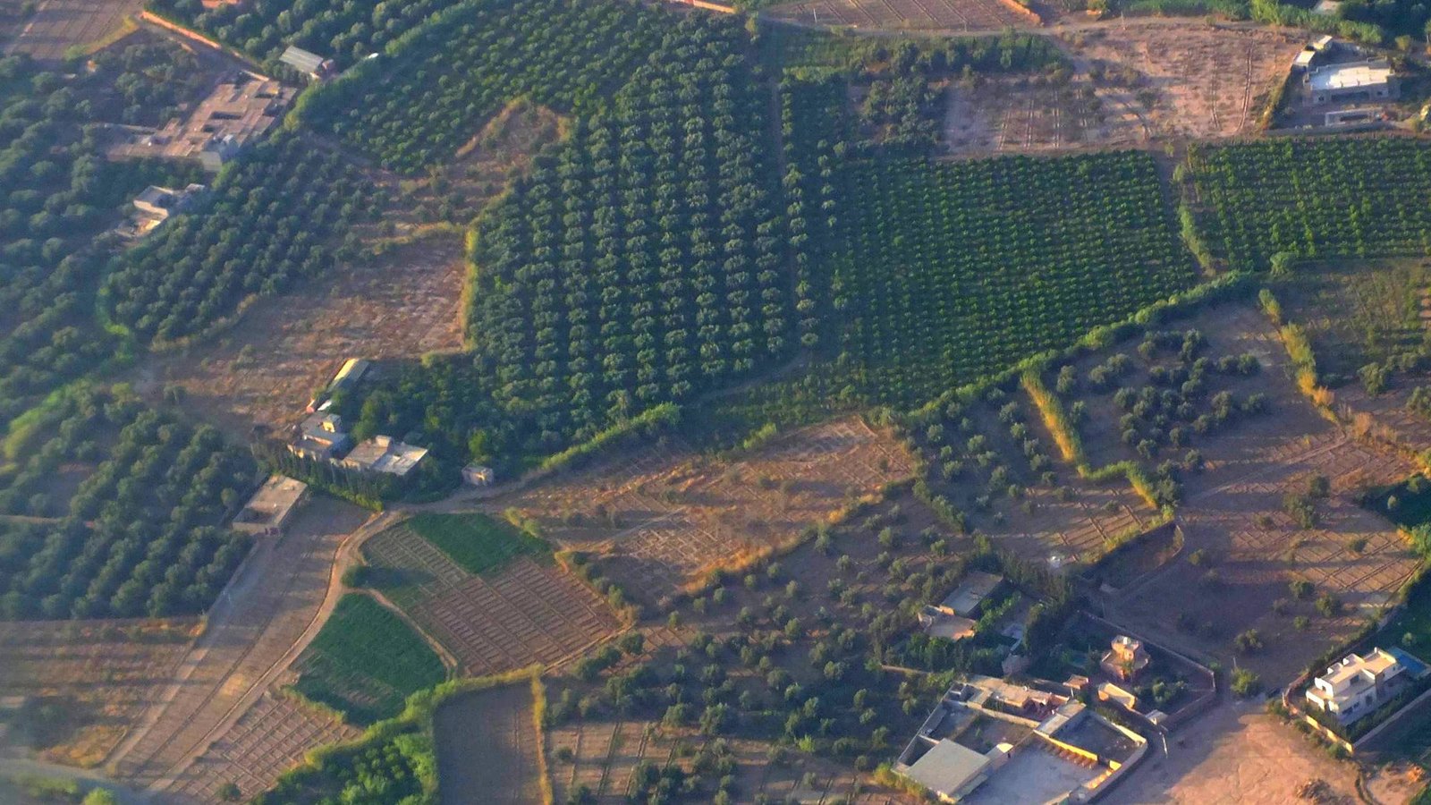 Orchards and walled plots at the edge of the palm grove, north-east of Marrakech, from the air