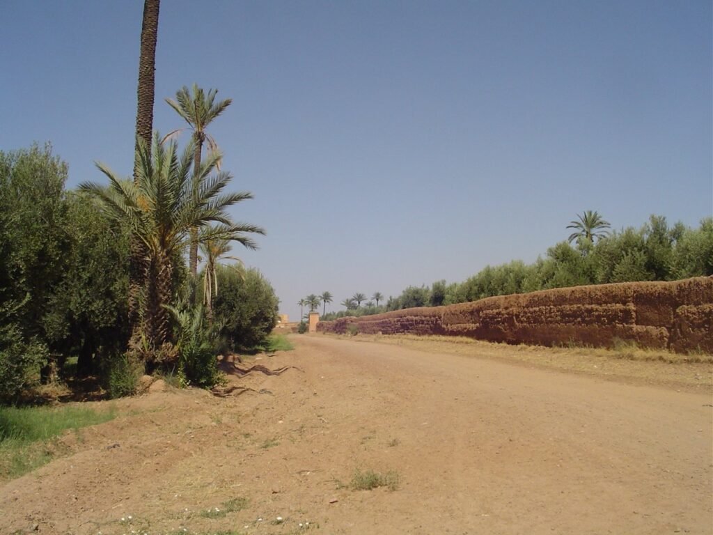 Earth track between olive trees and a pise wall, Agdal, Marrakech